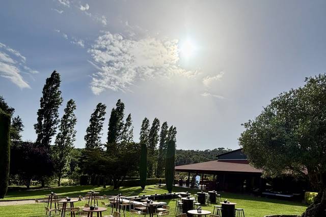 Aperitivos en el jardín