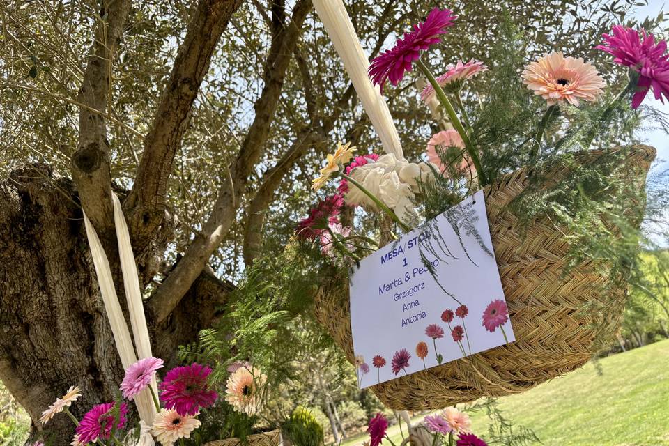 Seating personalizado