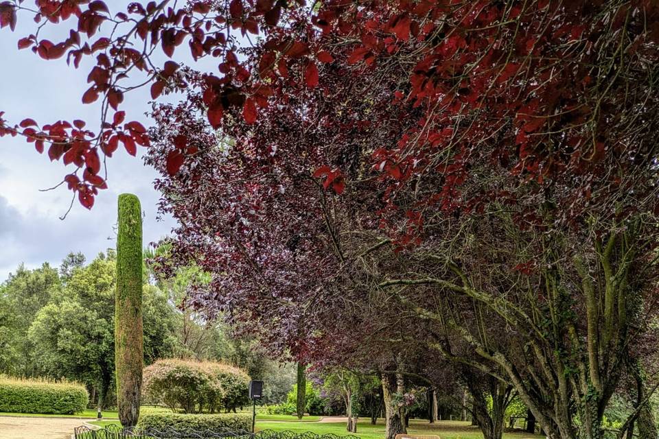 Ceremonia en los jardines