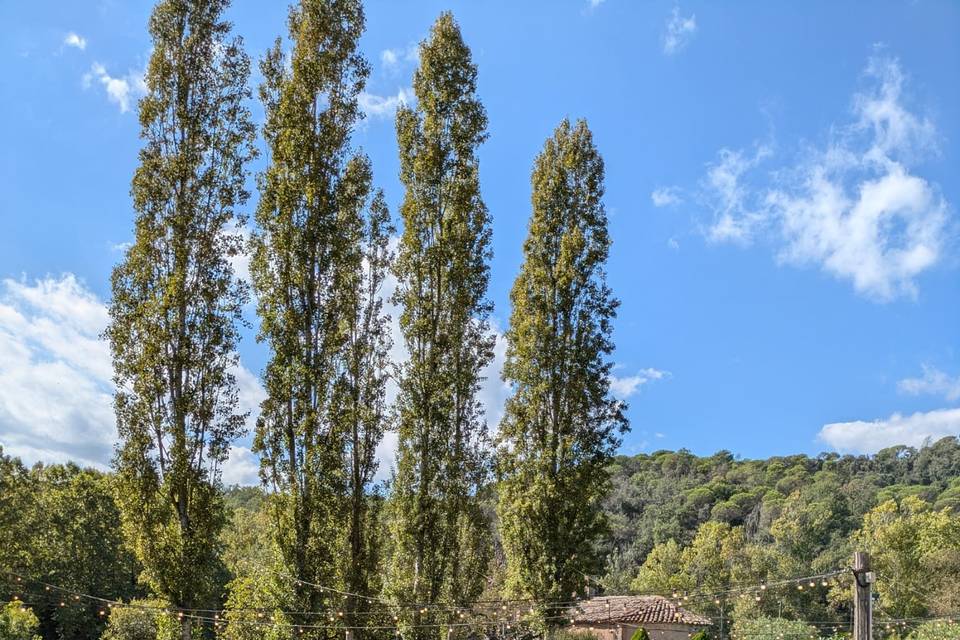 Aperitivo en el Jardín