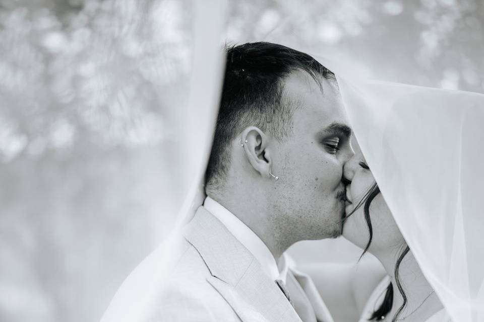 Los Novios