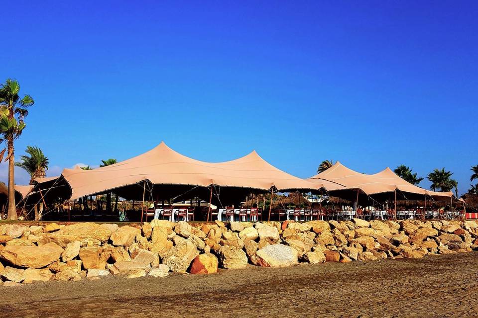 Carpas y Eventos