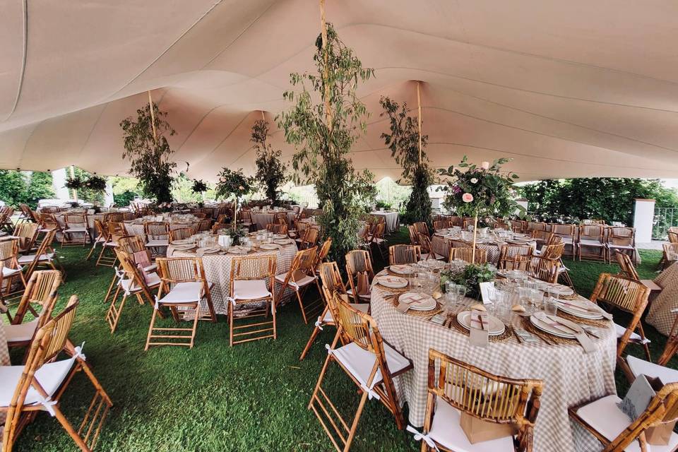 Carpas y Eventos