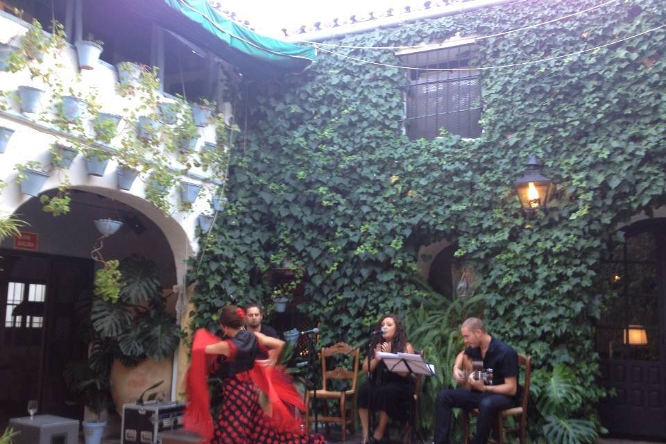 Flamenco