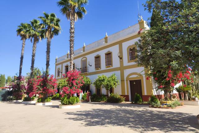 Molino Sotomelero