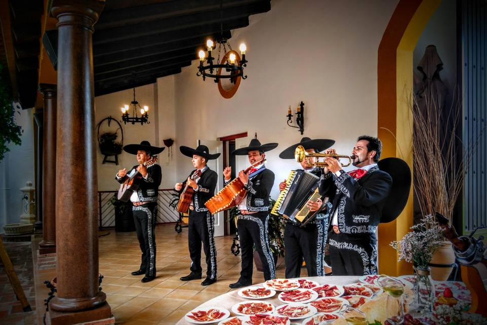 Mariachis