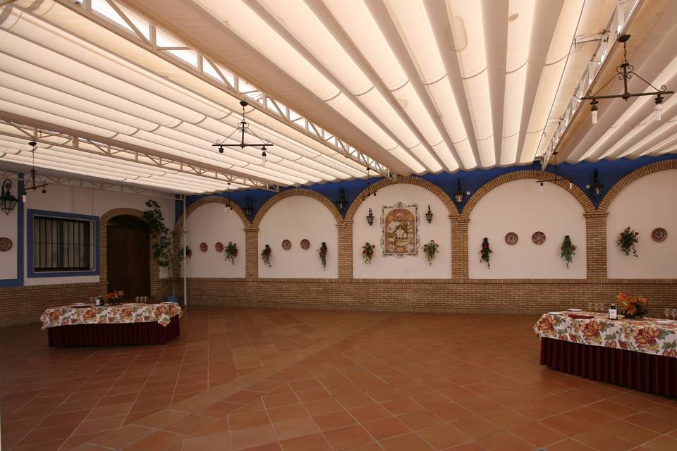 Patio-carpa