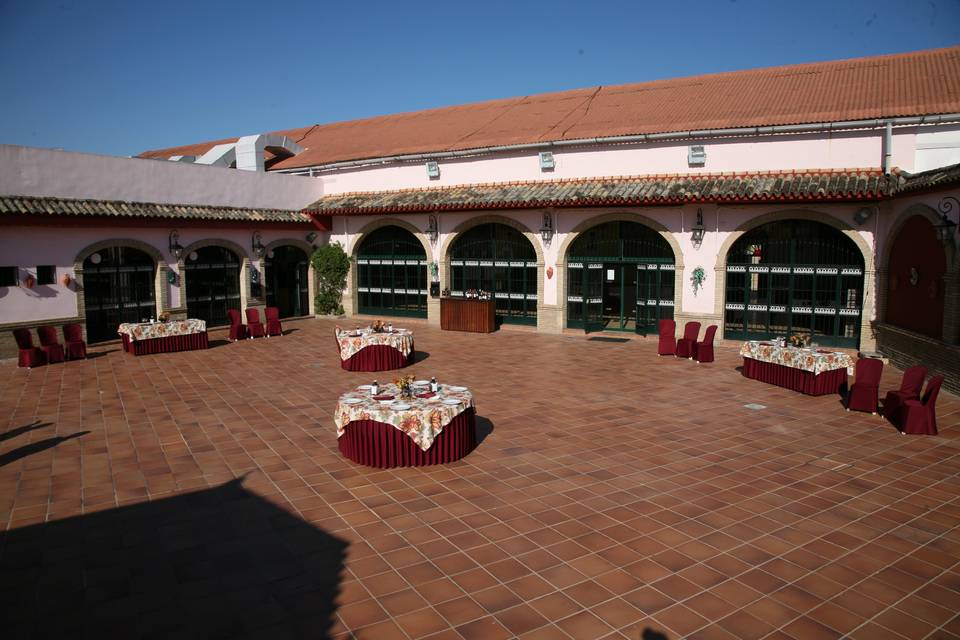 Patio-carpa