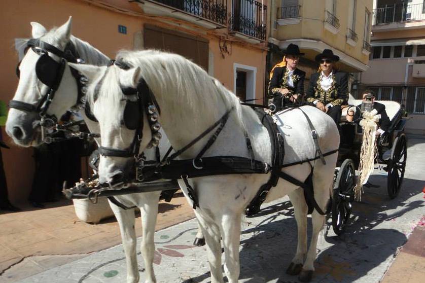 Calesa con caballos españoles