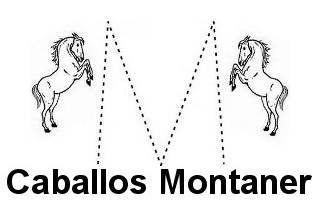 Caballos Montaner