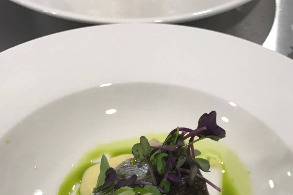 Timbal de corvina