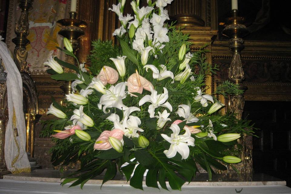 Venecia Floristas