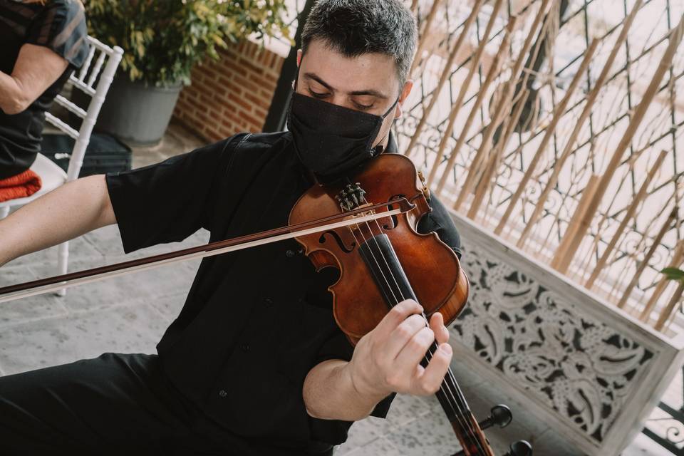 Violín