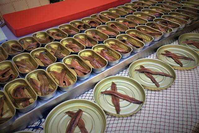 Sobadora de anchoas