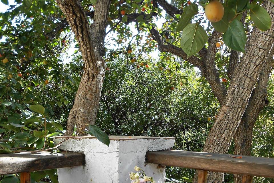 Bodegón de mermeladas