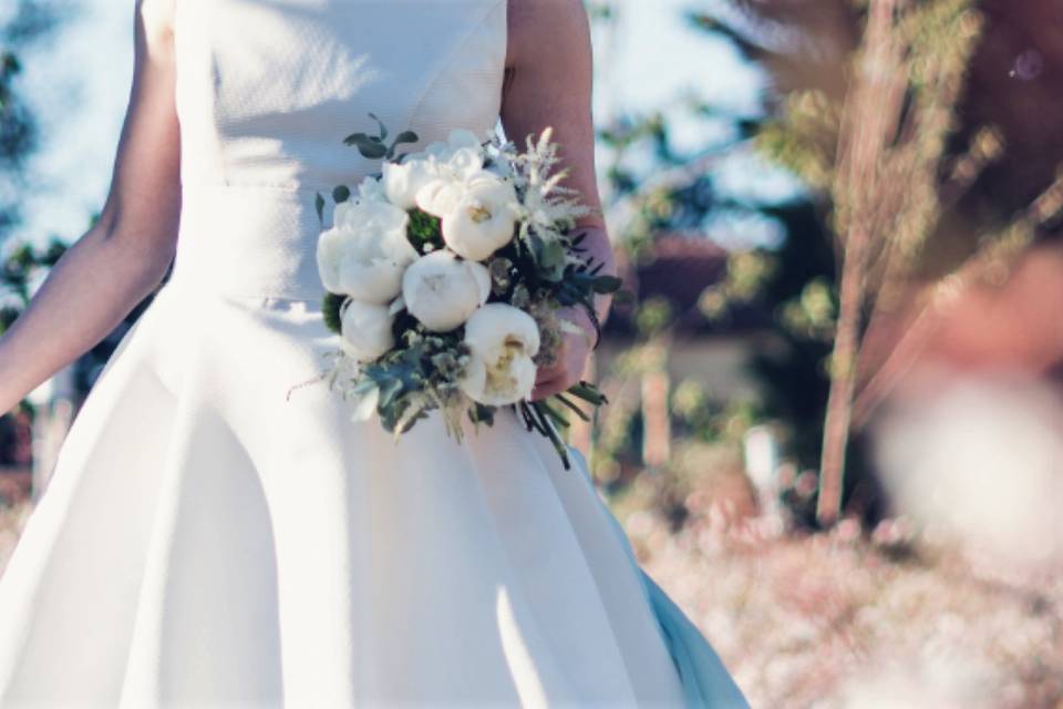 Peonias blanca