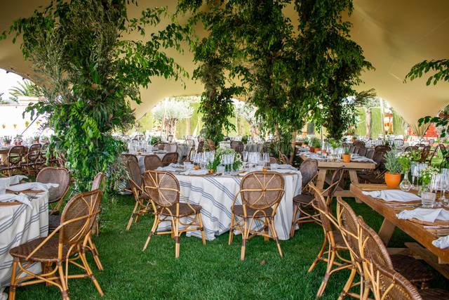Lumiêre Catering
