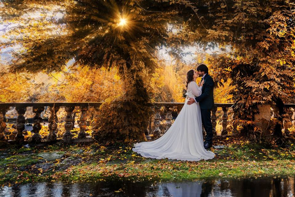 Bodas