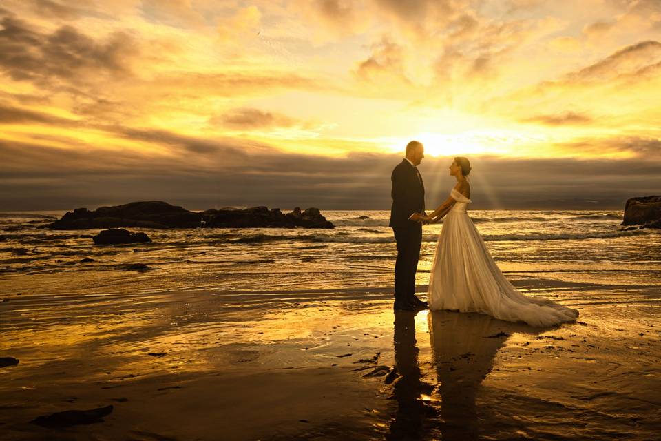Bodas