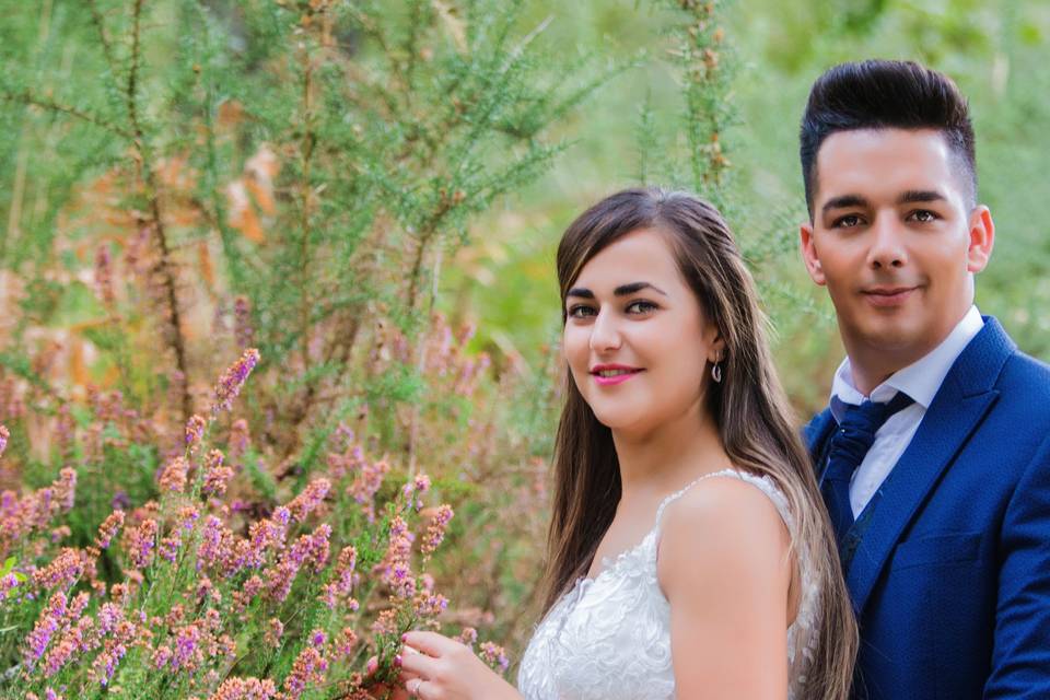 Bodas