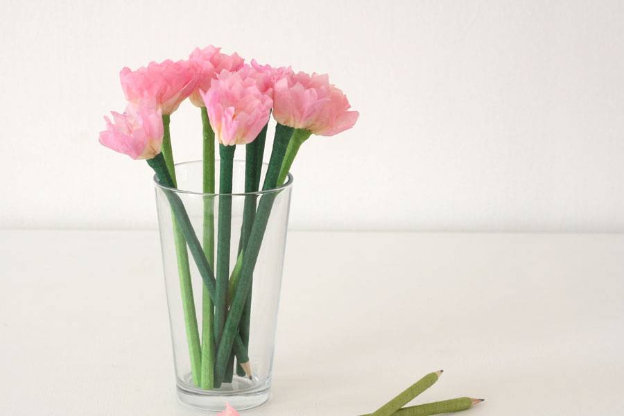 Lápices rosas