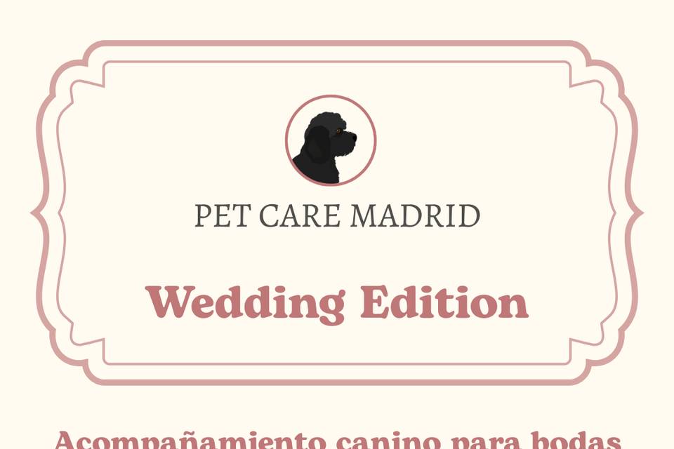 Wedding Edition
