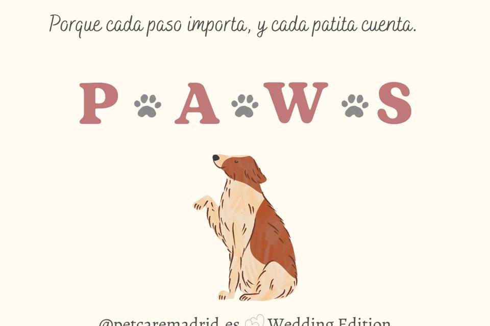 Metodología