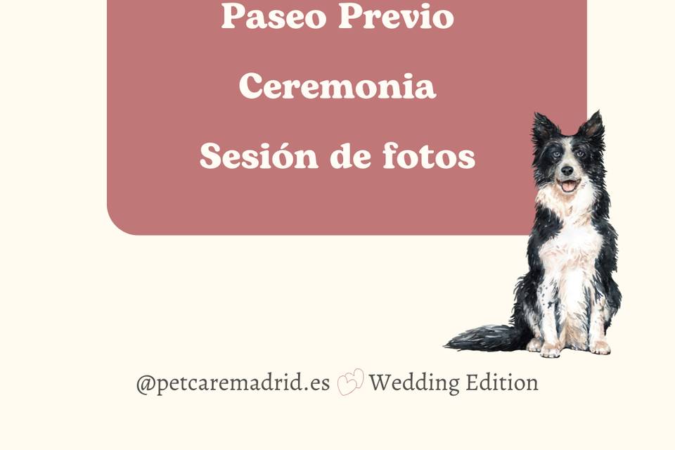 Servicios incluidos