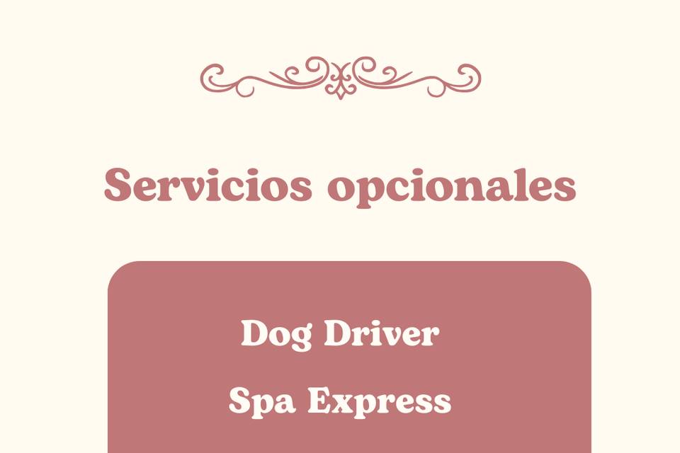 Servicios Opcionales