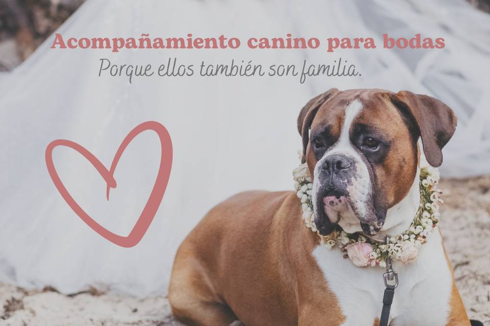 Son familia