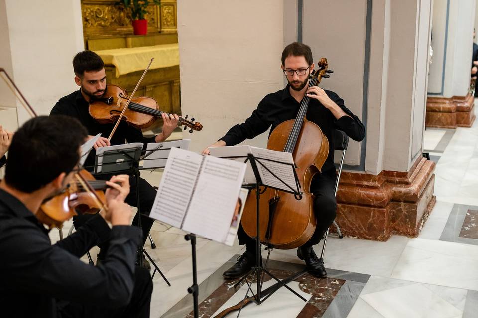 Javier Ignacio, cellista