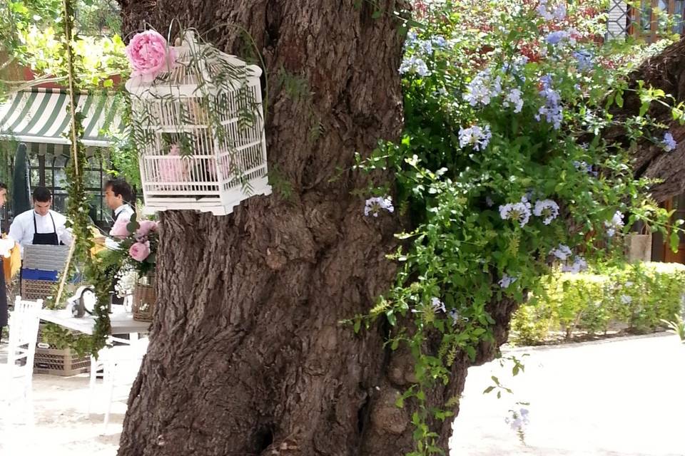 La Floristería de Paichi Moraira