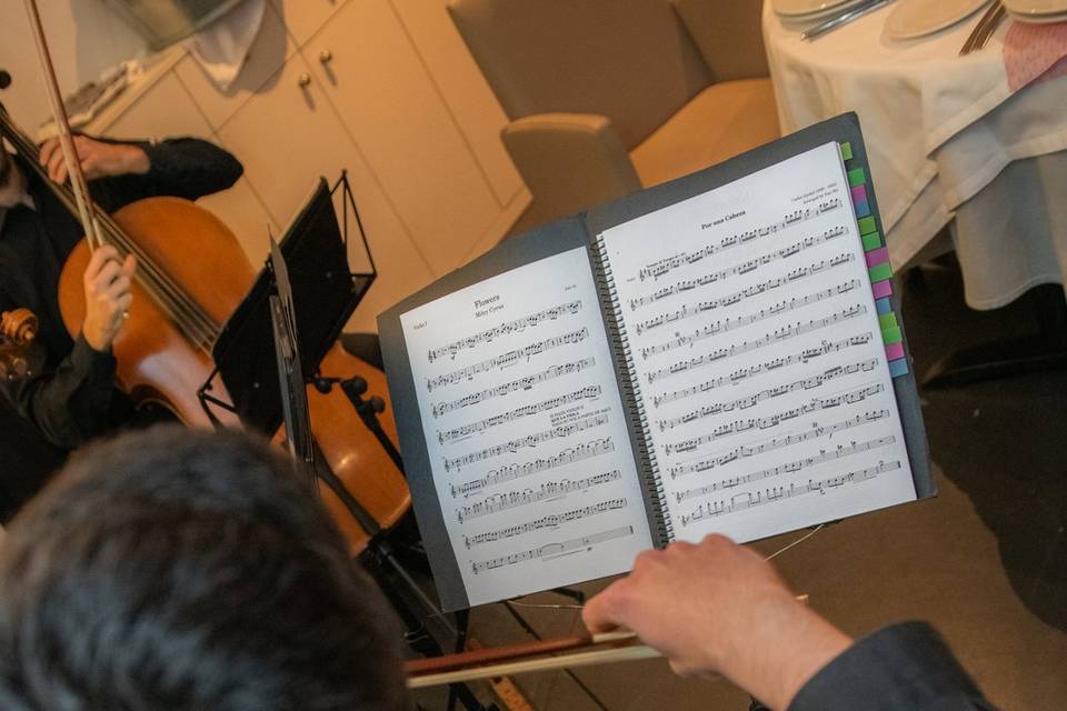Pablo Gómez, violín