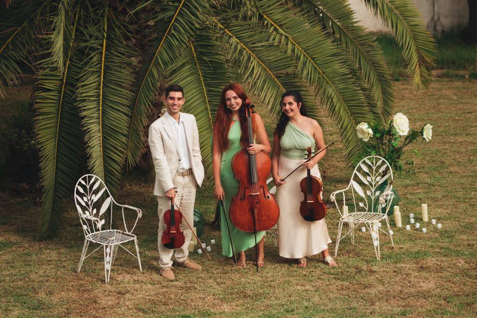 Trio