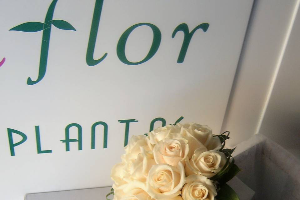 Flores y Plantas Mariflor