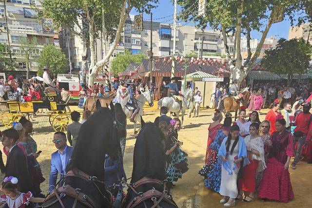 Coches de caballos