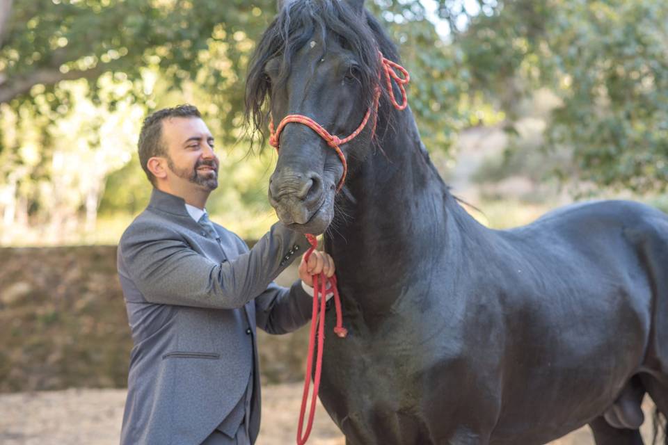 Coches de caballos