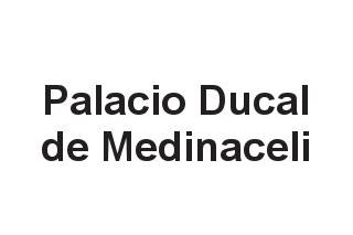 Palacio Ducal Medinaceli - Eventos con arte