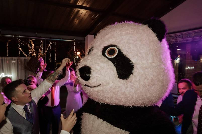 Oso panda gigante