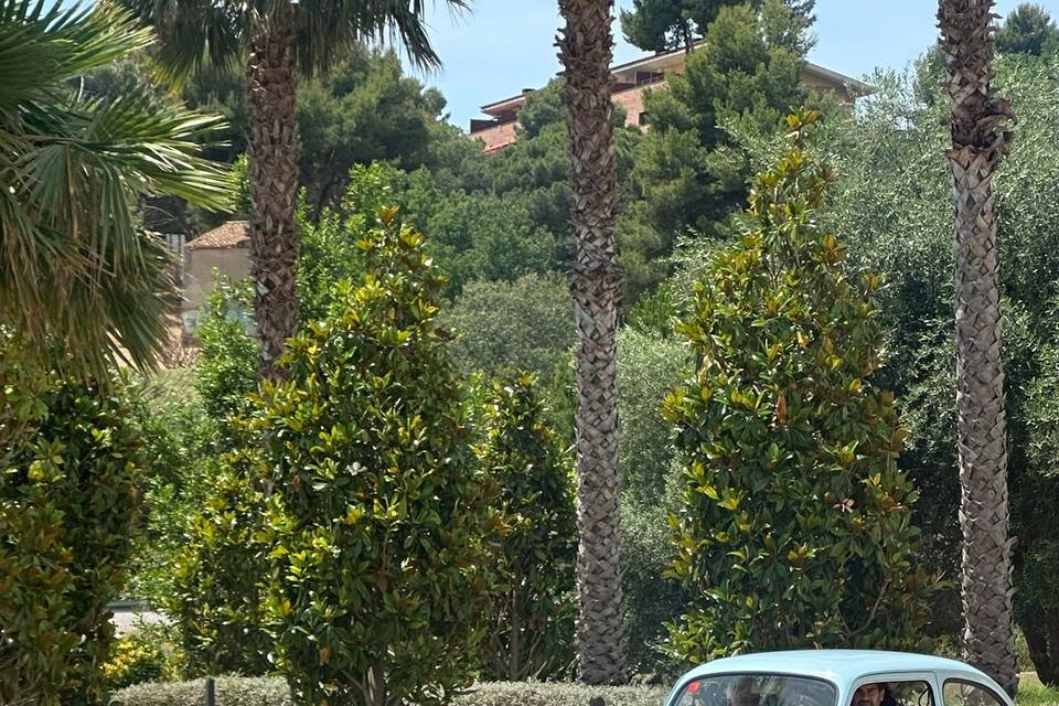 Coche novia