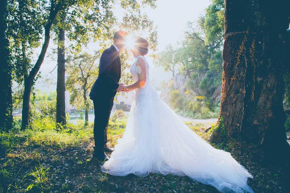 Fotos de bodas