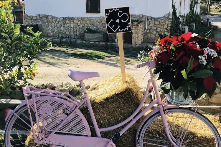 En la boda de Estela