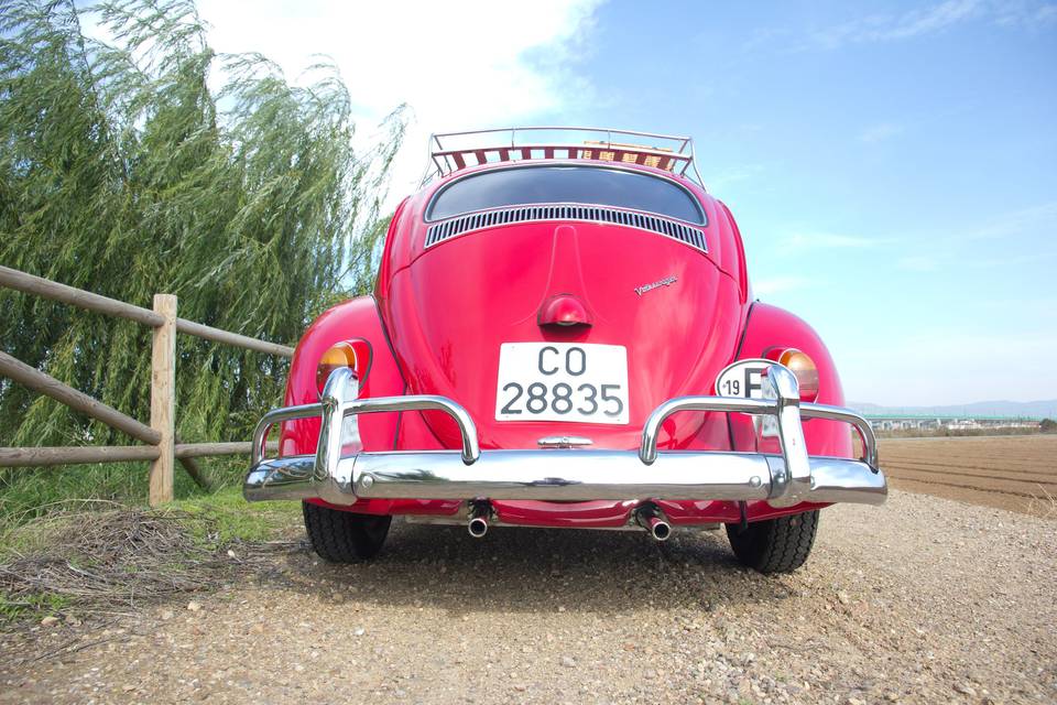 Coches de Boda en Córdoba