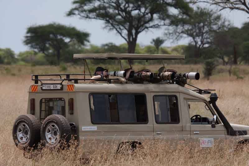 Un día de safari en Tanzania