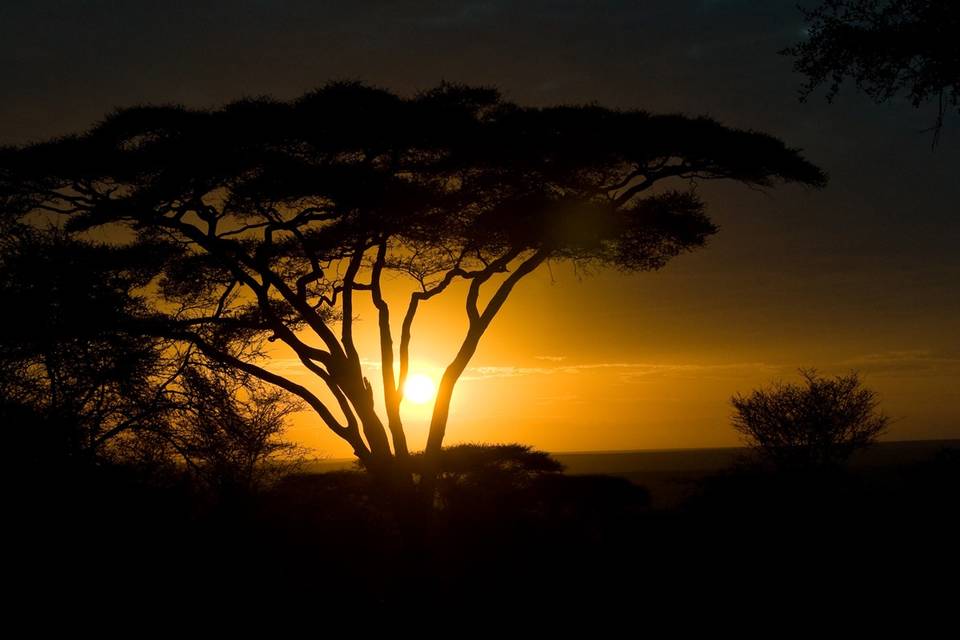 Luces de África