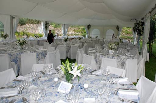 Carpa en el jardín