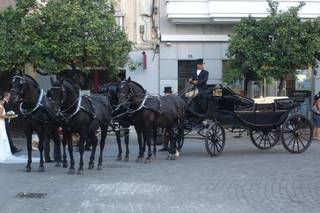 Carruajes Manijera - A caballo