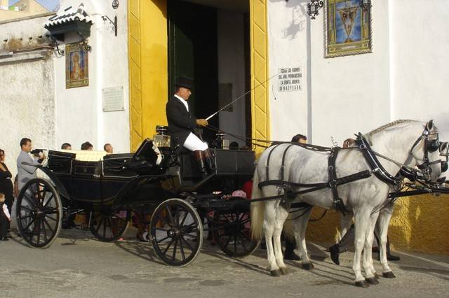 Coches de caballo