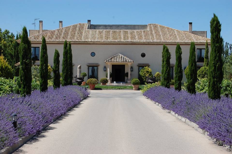 Bodegas Martúe