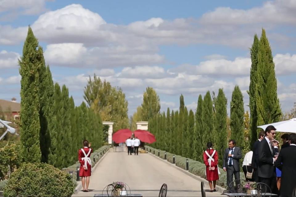 Vistas desde la casa Bodega